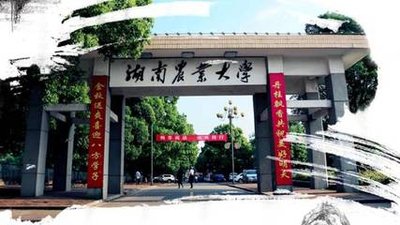 会计专业自考专本科北京助学一年半毕业含学位学信网可查