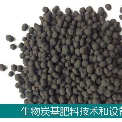 生物炭基肥料设备-东昊生物质炭灰处理加工设备