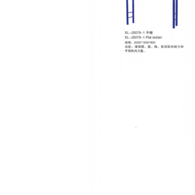星陵体育室外健身器材平梯