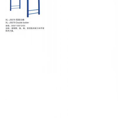 星陵体育室外健身器材双层云梯