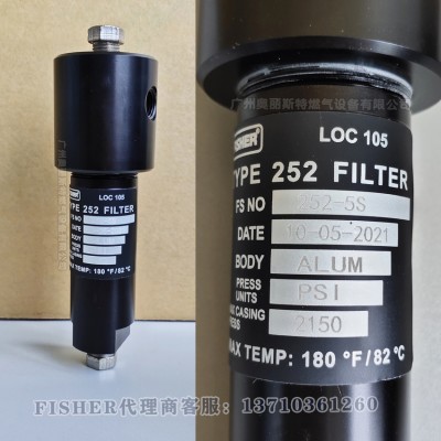 美国FISHER252-5S过滤器