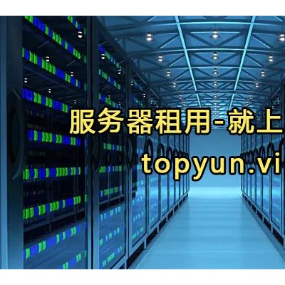 TOP云温州高防物理服务器租用 24核32G低至399元每月